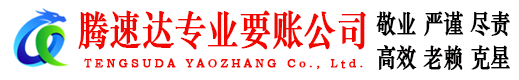 滨海新区讨账公司